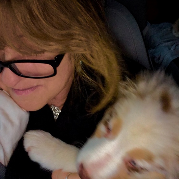 Meet your Posher, Tawni - Picture 1 of 1